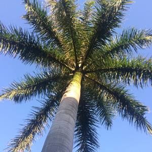 Meet your Posher, Patty